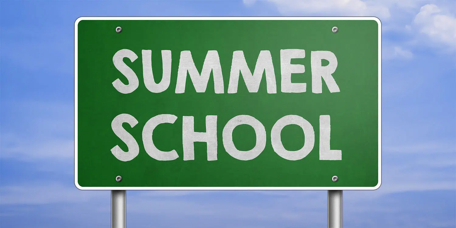 Are U.S. Summer Schools Worth the Investment?