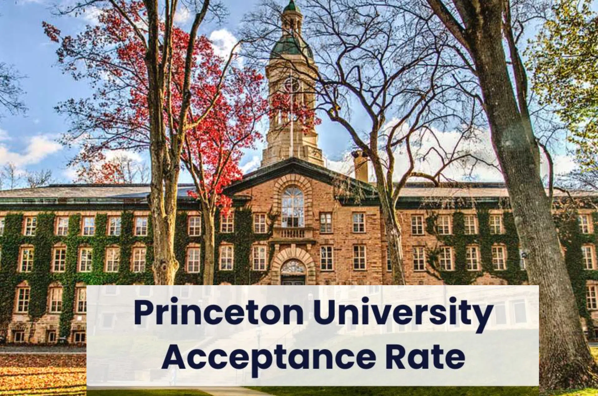 Understanding Princeton’s Acceptance Rate